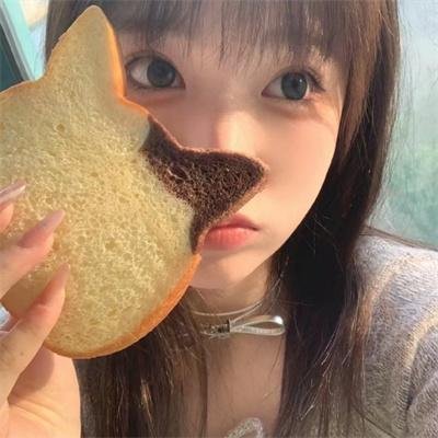 太空狗与涡轮猫